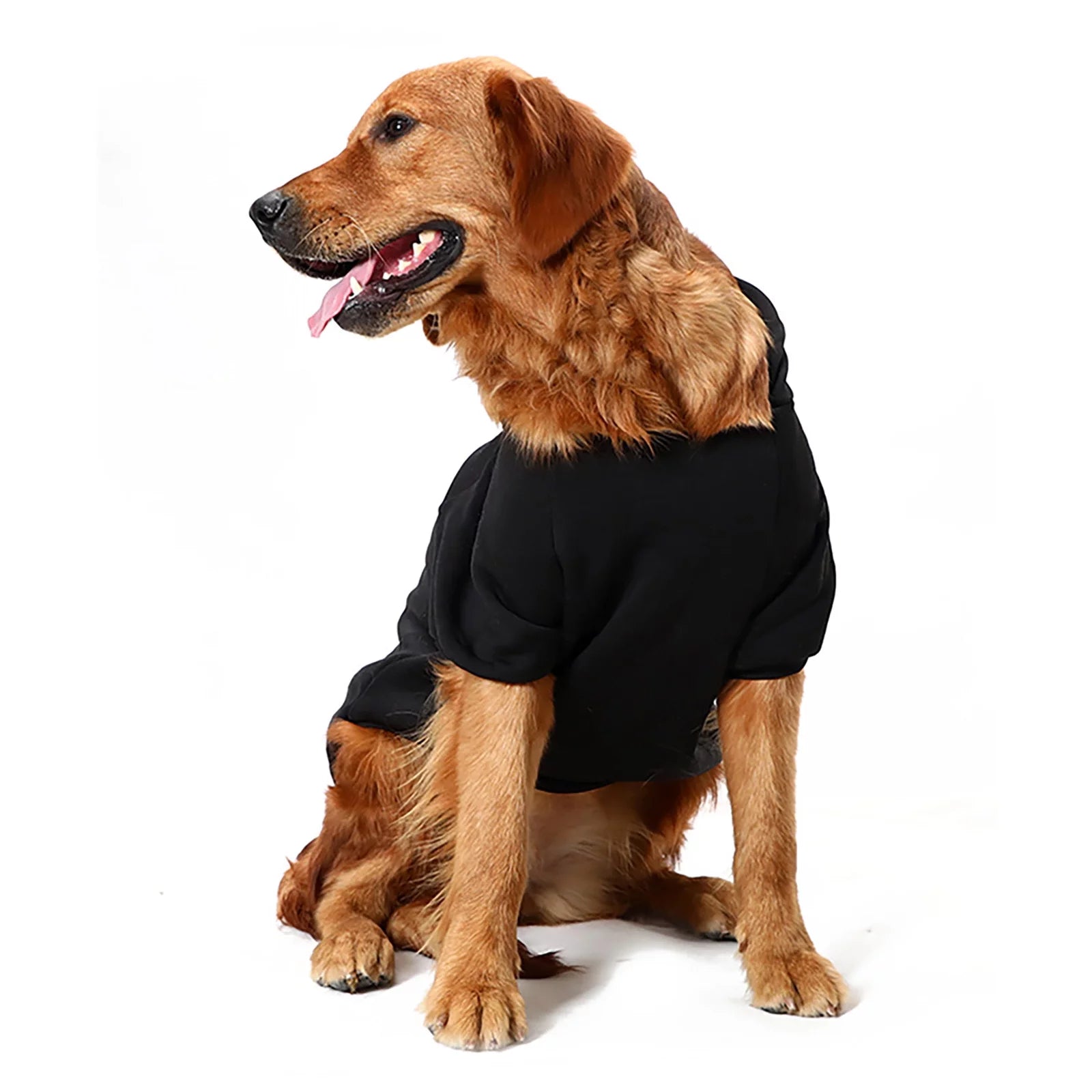 Gastropod Dog Sweaters Pet Sweaters Dog Clothes Pet Clothes Clothes Pet Clothes Rack Pet Clothes for Small Dogs Girl Pet Clothes for Small Dogs Boy Pet Clothes for Small Dogs Tutu Pet Clothes
